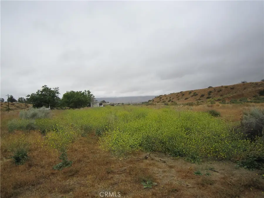 205 Castro Canyon Road, Maricopa, CA 93252 - #2