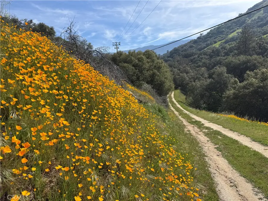 41505 A Mountain 56, California Hot Springs, CA 93207 - #3