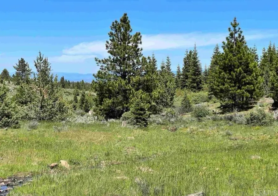 0 Lot 13 Drive, Alturas, CA 96101 - #3