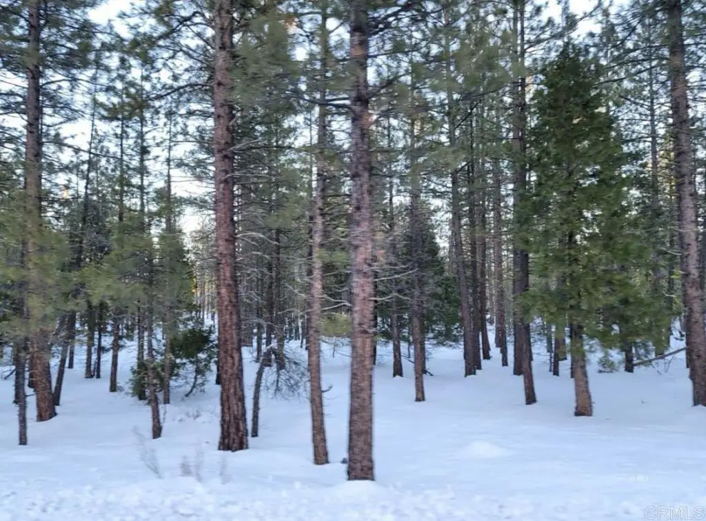 0 Glacier Dr Lot 12, Alturas, CA 96101 - #1