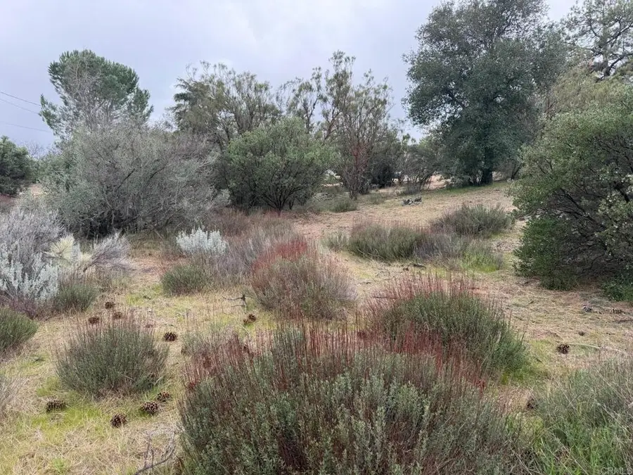 0 Foothill Blvd, Pine Valley, CA 91962 - #3