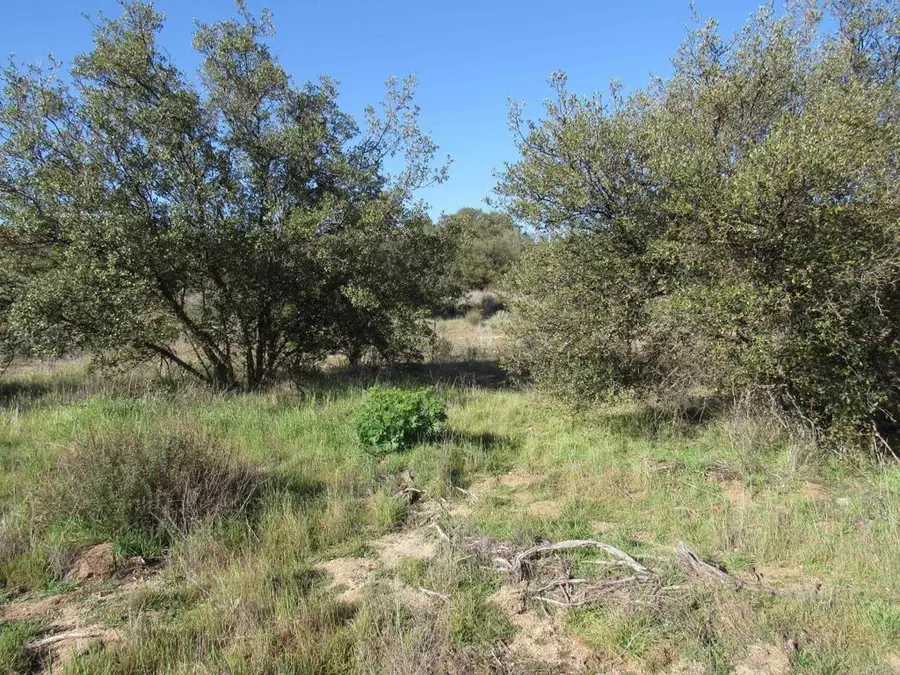 4 Buckman Springs Rd, Campo, CA 91906 - #3