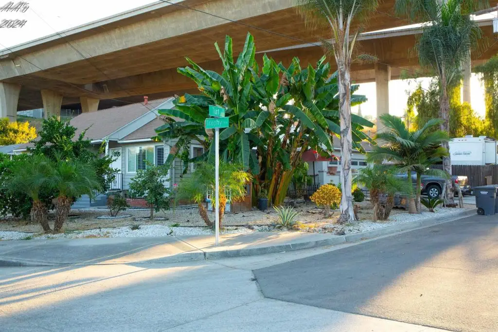 3422 Trophy, La Mesa, CA 91941 - #1