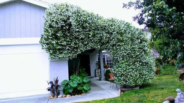 4777 Crooked Creek Ct., San Diego, CA 92113