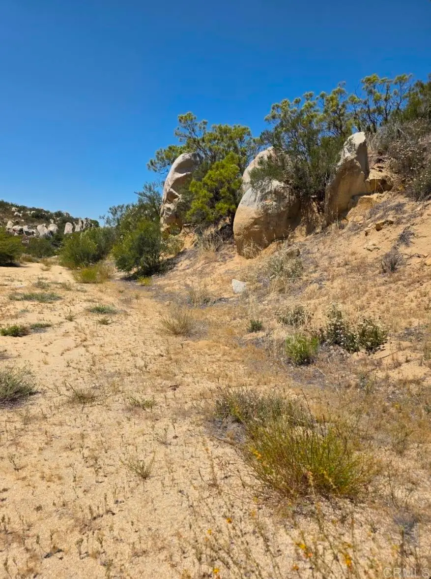 49 Brown Rocky Road, Anza, CA 92539 - #1
