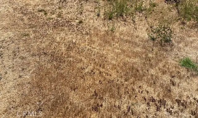 0 10th Street E, Lancaster, CA 93535 - #1