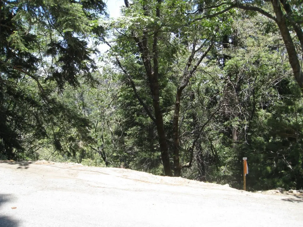 0 Forest Lane, Twin Peaks, CA 92391 - #1