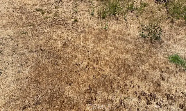 0 Sewanee Drive, Borrego Springs, CA 92004 - #1