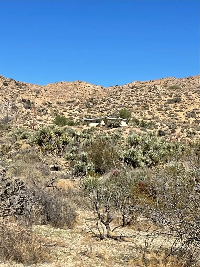 8787 Via La Scala, Morongo Valley, CA 92256 - #1