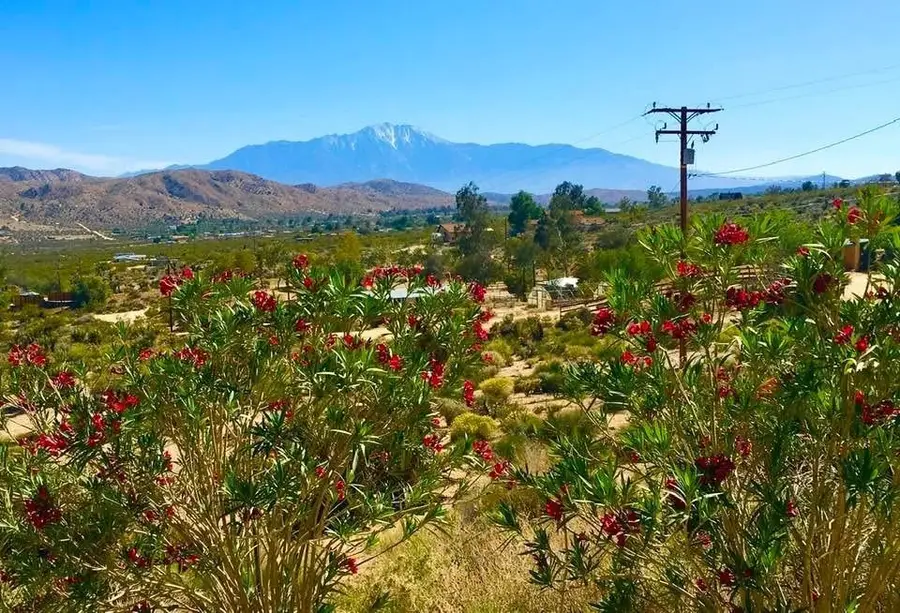 8787 Via La Scala, Morongo Valley, CA 92256 - #3
