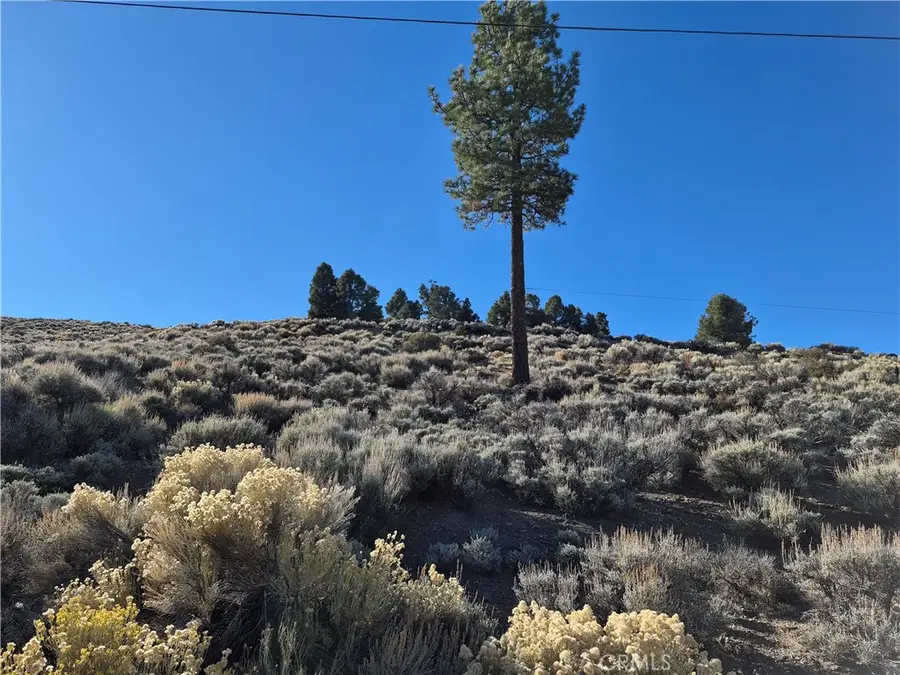 0 Rustic Canyon, Big Bear City, CA 92314 - #2
