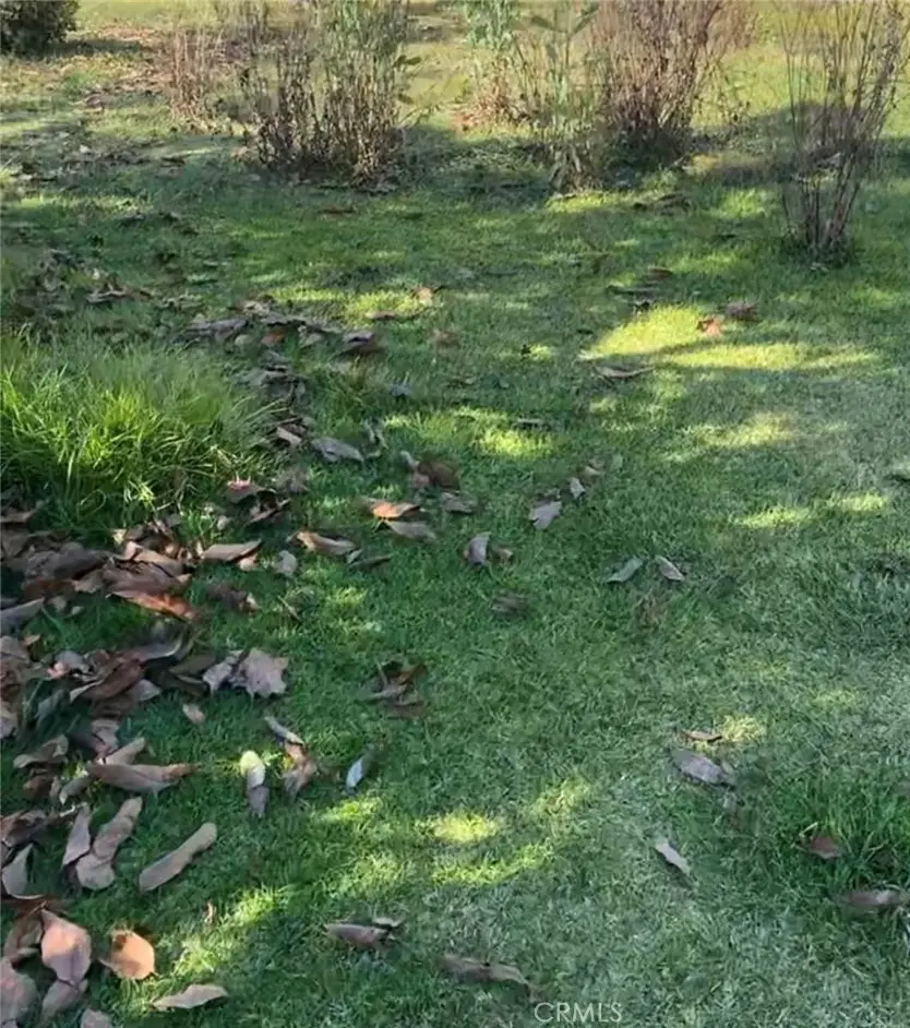 9767 Fairway, Kelseyville, CA 95451 - #1