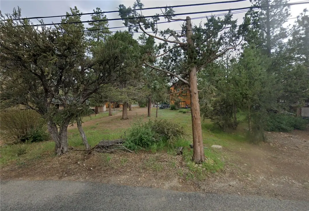 568 Highland Avenue, Sugarloaf, CA 92386 - #1
