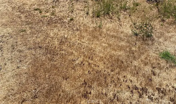 0 Vac/ave G/vic 125 Stw, Antelope Acres, CA 93536