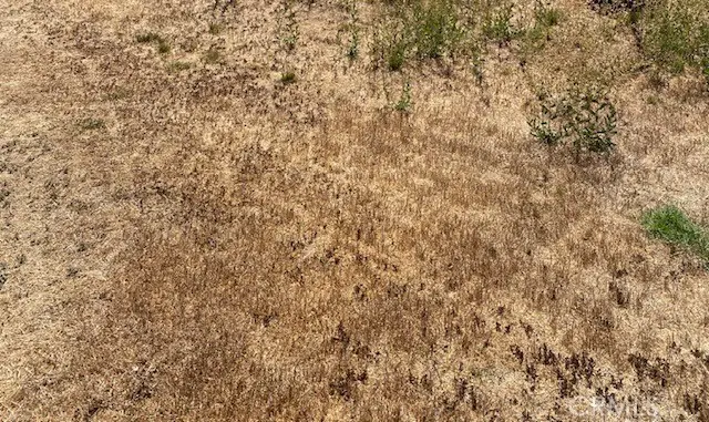 0 Walnut Street, Hesperia, CA 92345 - #1