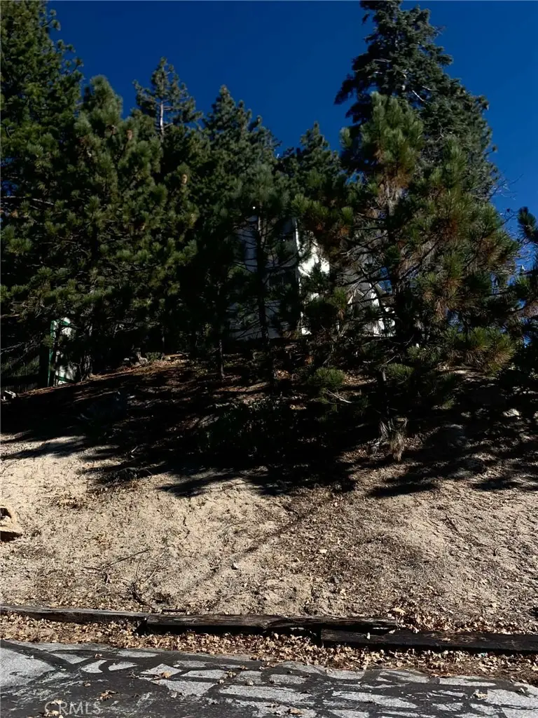 32490 Scandia Drive, Running Springs, CA 92382 - #2