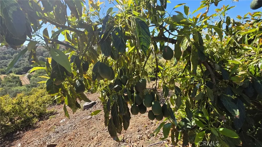 0 Via Barranca, Temecula, CA 92590 - #1
