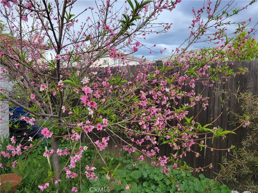 16638 Shuning Court, Moreno Valley, CA 92551 - #2