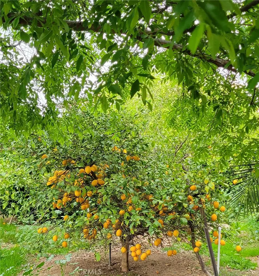 16638 Shuning Court, Moreno Valley, CA 92551 - #3