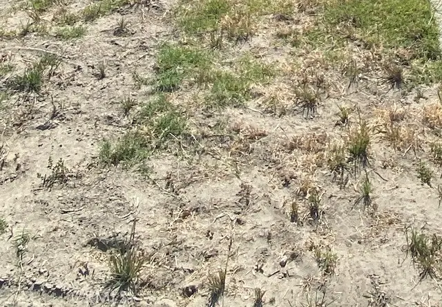 1 A, Ridgecrest, CA 93555 - #1