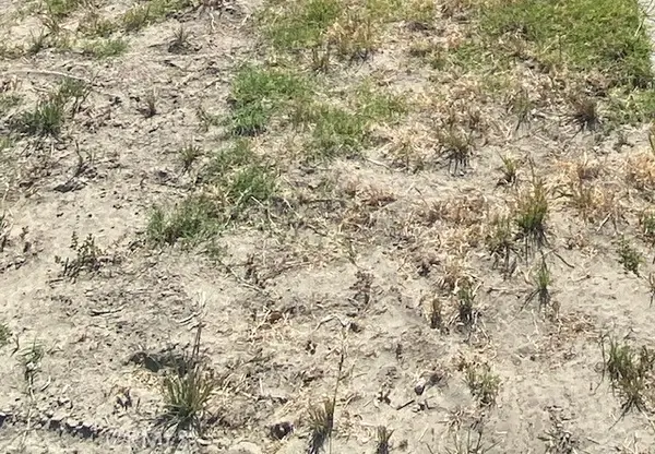 1 A, Ridgecrest, CA 93555