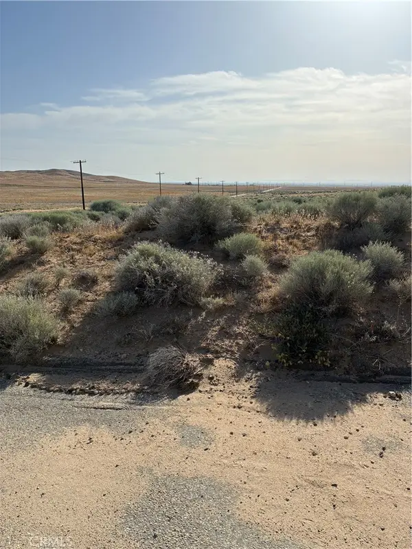 0 Cholla Road, Helendale, CA 92342