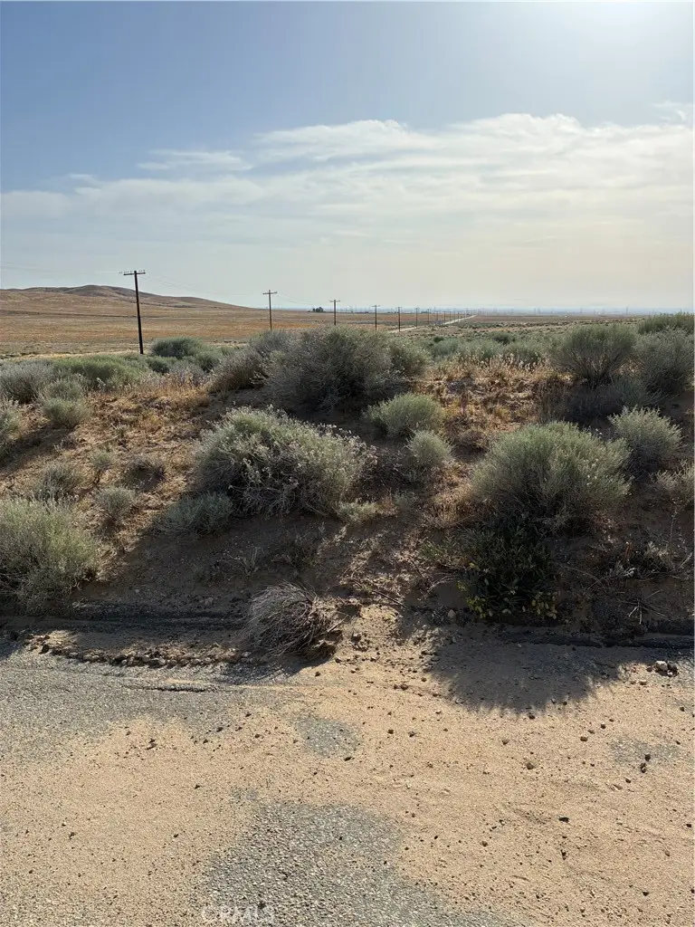 0 Cholla, Helendale, CA 92342 - #1