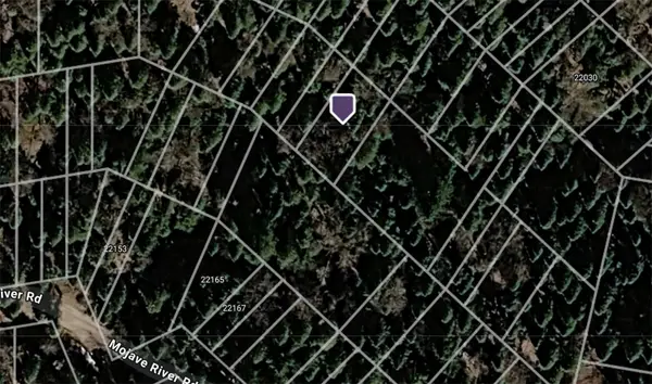 0 Mojave River, Cedarpines Park, CA 92322