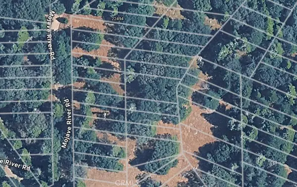 0 Mojave River Road, Cedarpines Park, CA 92322