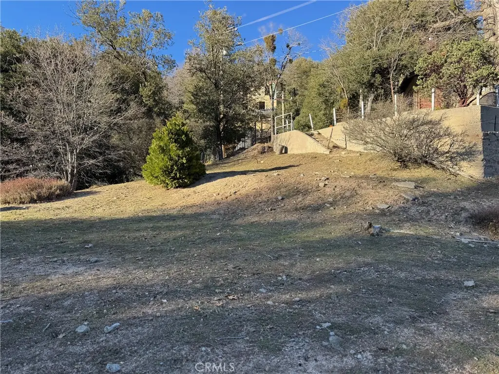 29373 Pine, Cedar Glen, CA 92321 - #1