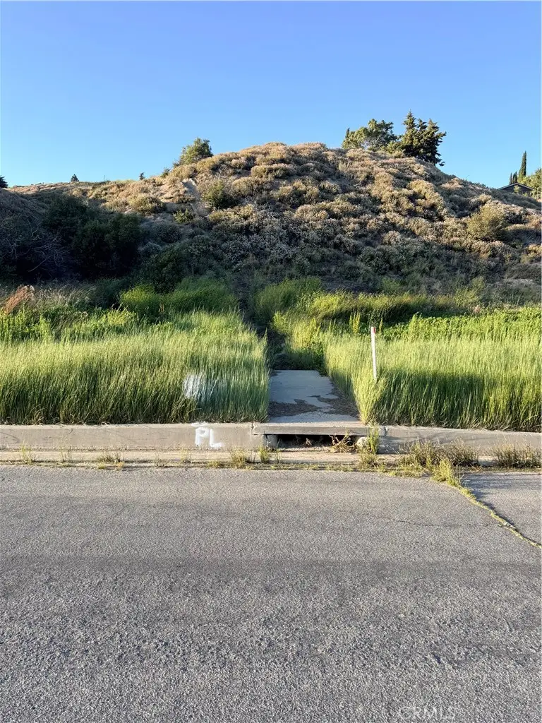 0 Kiptree, Lake Hughes, CA 93532 - #3