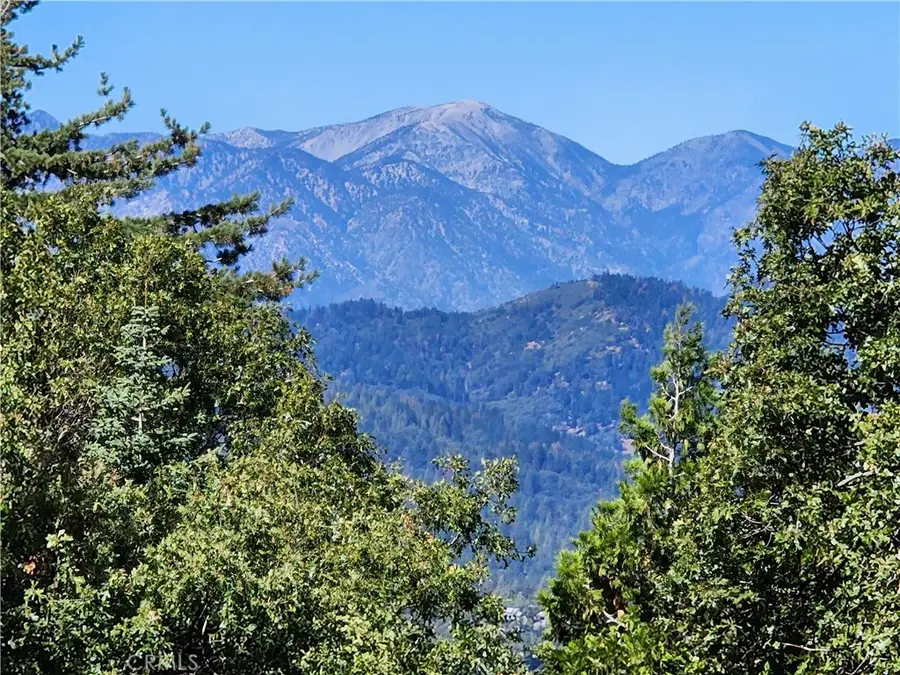 0 North Road, Twin Peaks, CA 92391 - #2