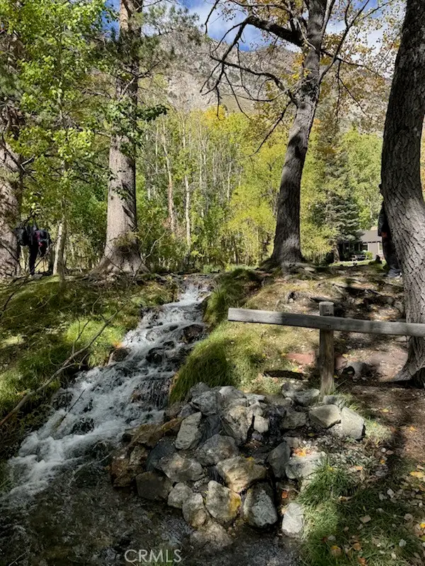 0 Piute Dr, June Lake, CA 93529 - Image #2