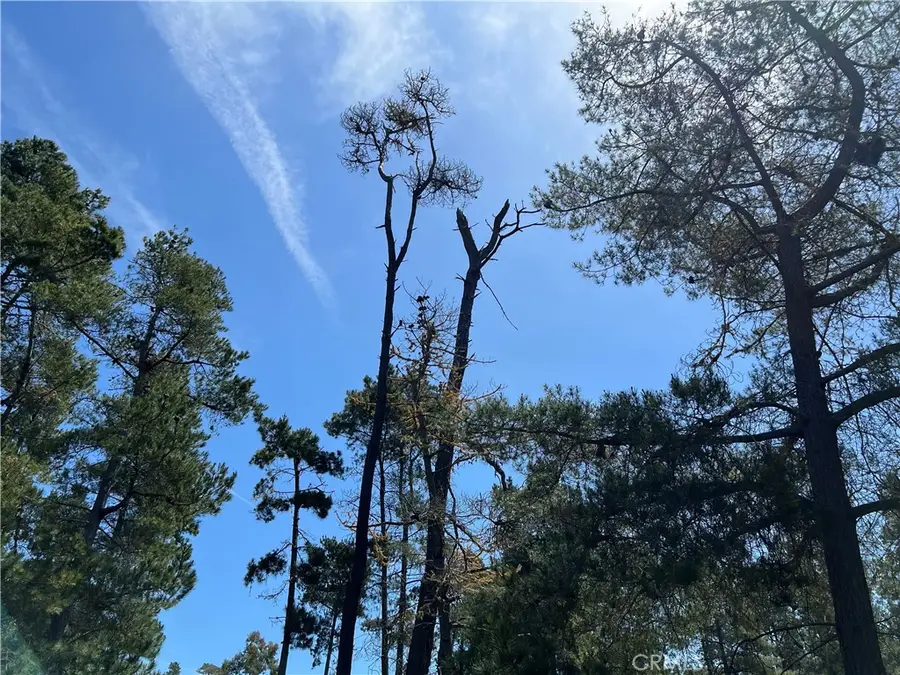 0 Kenneth Drive, Cambria, CA 93428 - Image #3