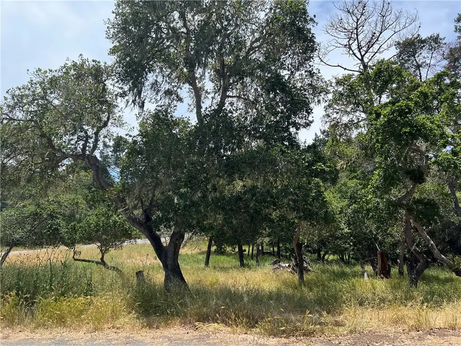 0 Trenton Avenue, Cambria, CA 93428 - Image #2