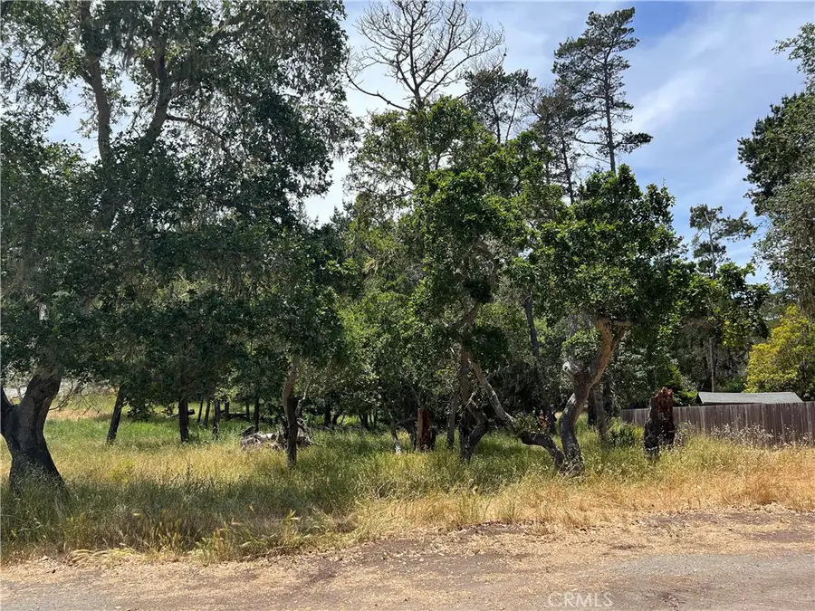 0 Trenton Avenue, Cambria, CA 93428 - Image #3