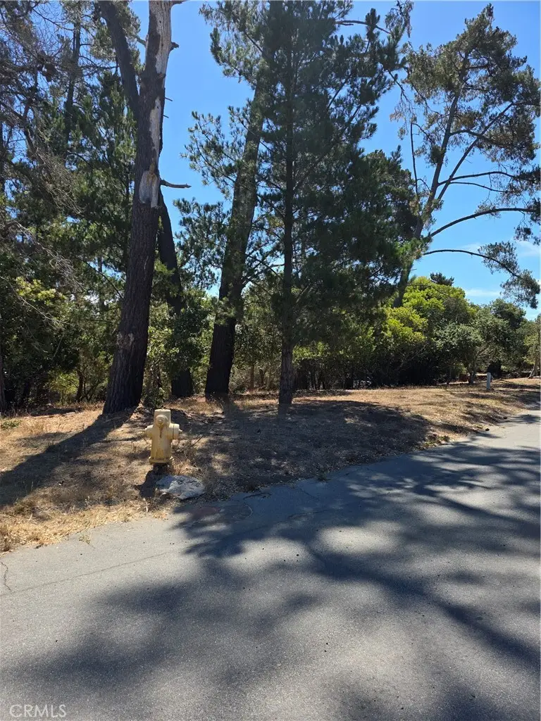 2418 Malvern Street, Cambria, CA 93428 - Image #2