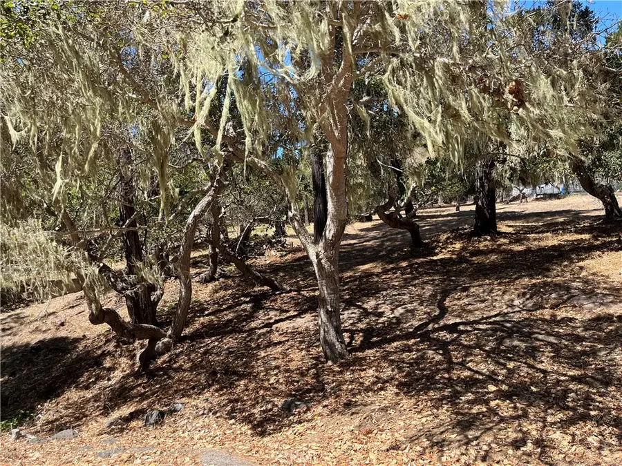 34 Kenneth, Cambria, CA 93428 - Image #2