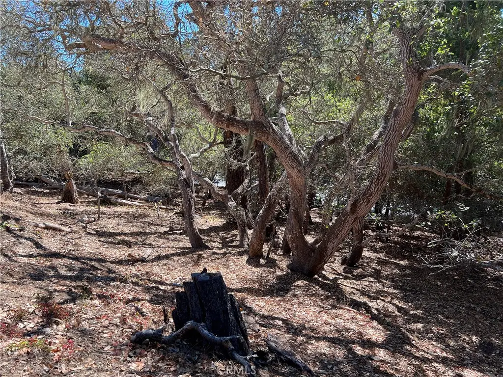 2275 Leona Drive, Cambria, CA 93428 - Image #1