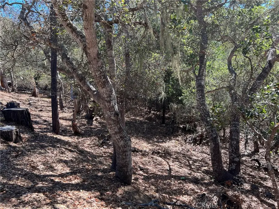 2275 Leona Drive, Cambria, CA 93428 - Image #2