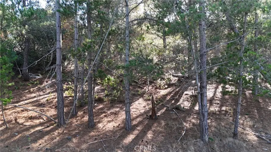 1955 Avon Avenue, Cambria, CA 93428 - Image #2