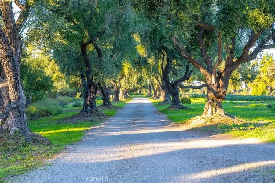 2480 Roblar Avenue, Los Olivos, CA 93441 - #3