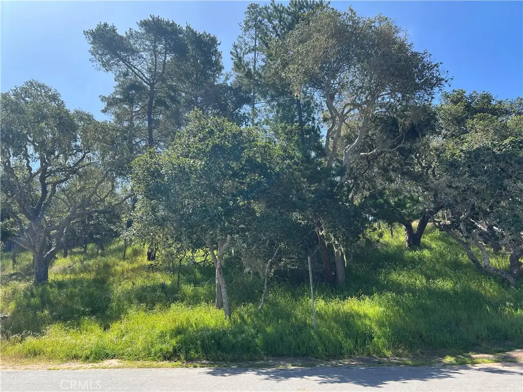 2480 Ross Road, Cambria, CA 93428 - #1