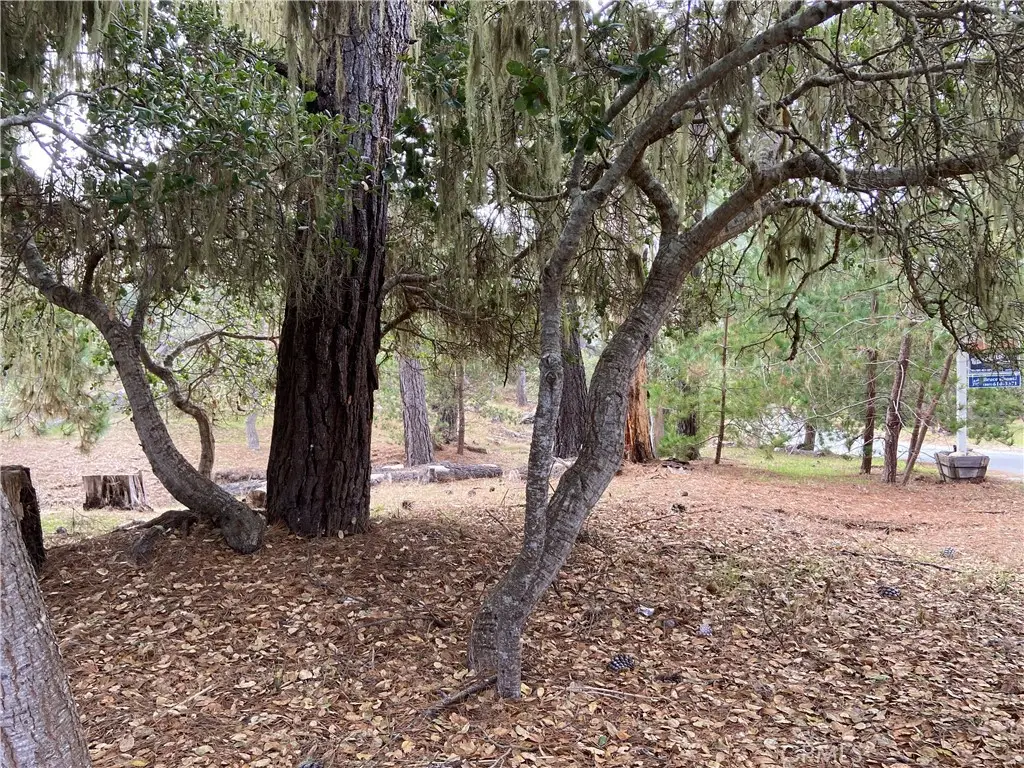 0 Kenneth Drive, Cambria, CA 93428 - #1