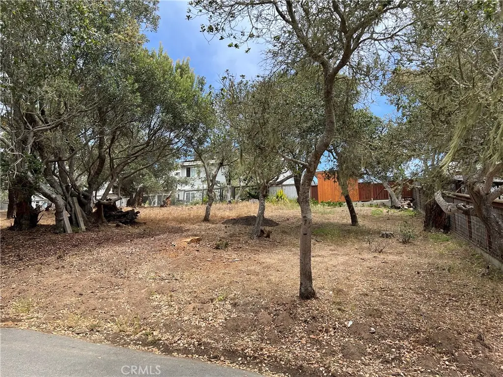 0 Langton, Cambria, CA 93428 - #1