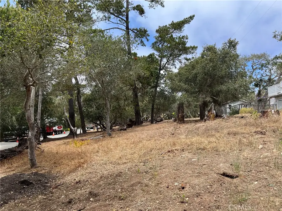 0 Langton, Cambria, CA 93428 - #3