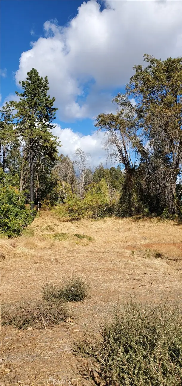 8819 Skyway, Paradise, CA 95969 - #1