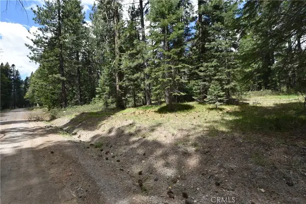 0 Fumarole Ct Court, McCloud, CA 96057