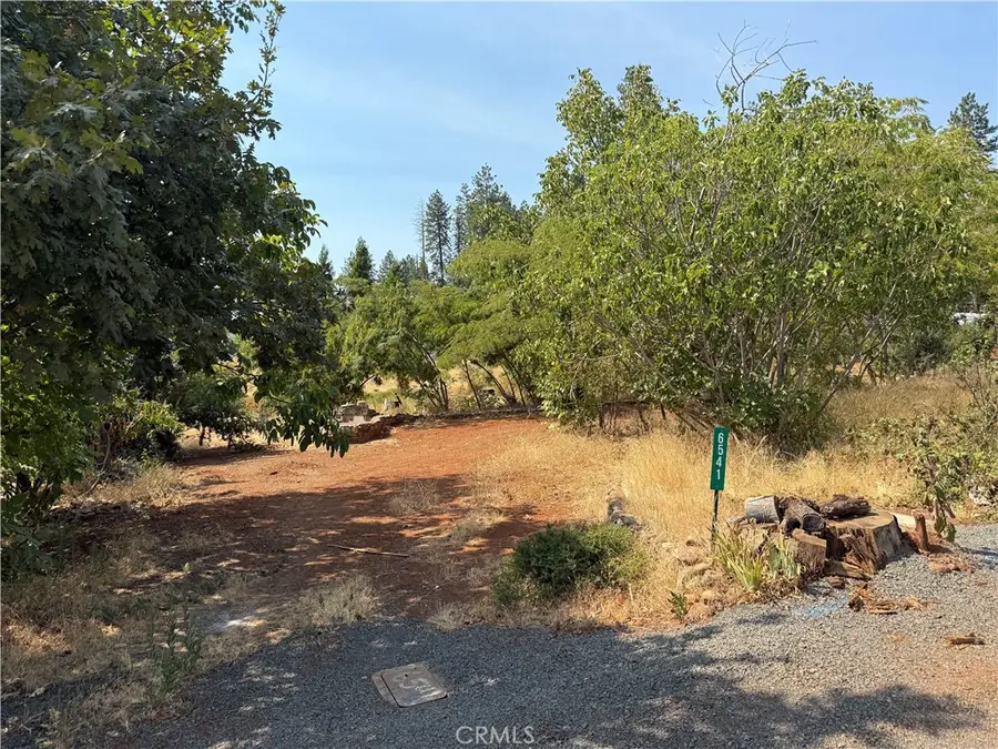6541 Wheeler Road, Paradise, CA 95969 - #2