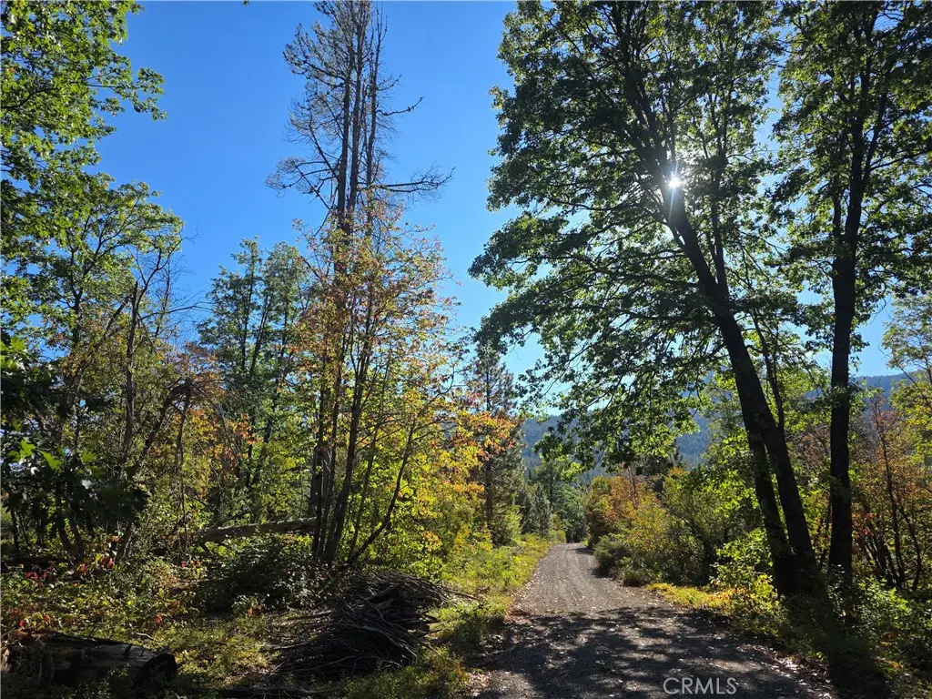 0 Muledeer Rd., Weed, CA 96094 - Image #1